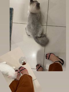 Yashma Gill feet photo 2