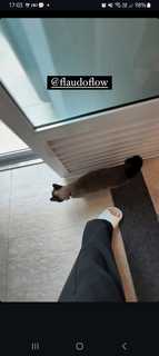 Yasmin Ali Yassine feet photo thumbnail