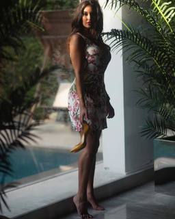 Yasmine Sabry feet photo thumbnail