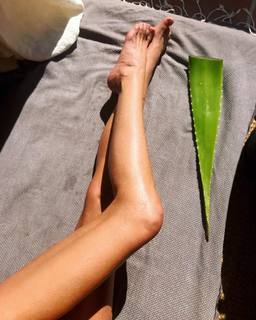 Yazemeenah Rossi feet photo 13