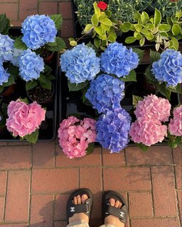 Ye-rim Kim feet photo 18