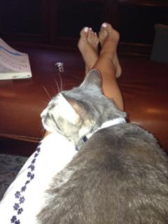 Yeardley Smith feet photo 17
