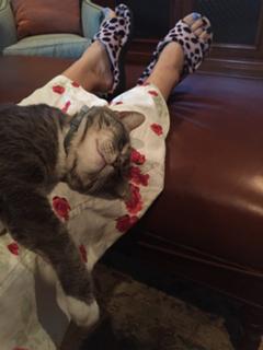 Yeardley Smith feet photo 3