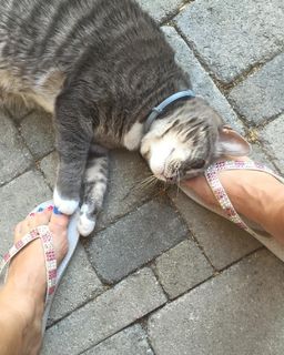 Yeardley Smith feet photo 19