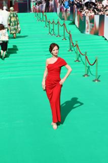 Yelena Zakharova feet photo 8