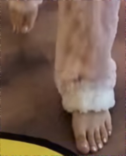 Yeliz Korkmaz feet photo 1