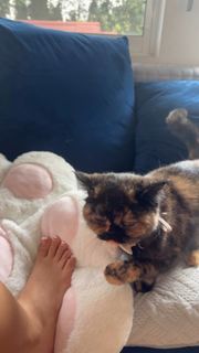 Yeri Mua feet photo 1