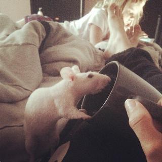 Yo-Landi Visser feet photo thumbnail