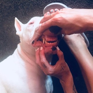 Yo-Landi Visser feet photo thumbnail