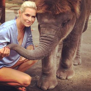 Yolanda Hadid feet photo 3