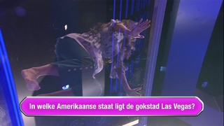 Yolanthe Cabau feet photo thumbnail