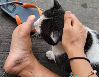 Yoo 'Jinnytty' Yoonjin feet photo thumbnail