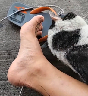 Yoo 'Jinnytty' Yoonjin feet photo thumbnail