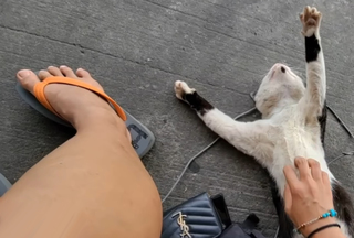 Yoo 'Jinnytty' Yoonjin feet photo thumbnail