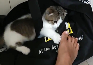 Yoo 'Jinnytty' Yoonjin feet photo thumbnail