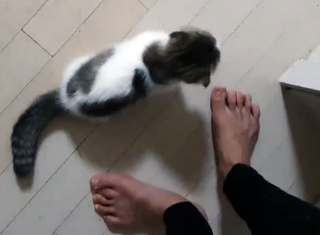 Yoo 'Jinnytty' Yoonjin feet photo thumbnail