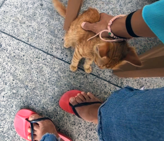 Yoo 'Jinnytty' Yoonjin feet photo thumbnail