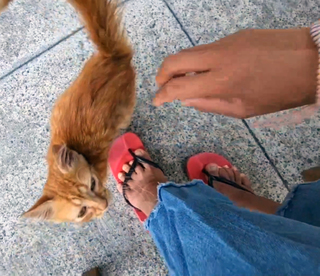 Yoo 'Jinnytty' Yoonjin feet photo thumbnail