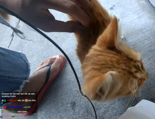 Yoo 'Jinnytty' Yoonjin feet photo thumbnail