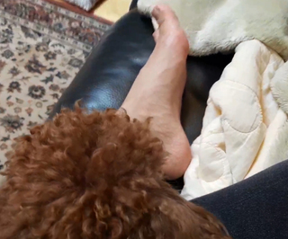 Yoo 'Jinnytty' Yoonjin feet photo thumbnail