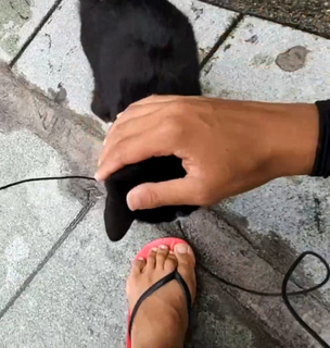 Yoo 'Jinnytty' Yoonjin feet photo thumbnail