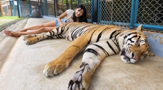 Yoo 'Jinnytty' Yoonjin feet photo thumbnail