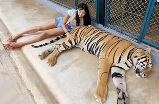 Yoo 'Jinnytty' Yoonjin feet photo thumbnail