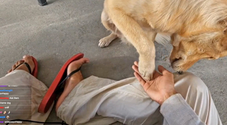 Yoo 'Jinnytty' Yoonjin feet photo thumbnail