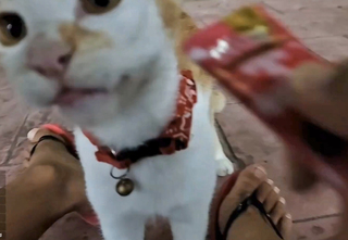 Yoo 'Jinnytty' Yoonjin feet photo thumbnail