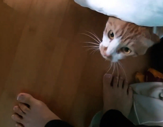 Yoo 'Jinnytty' Yoonjin feet photo thumbnail