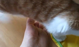 Yoo 'Jinnytty' Yoonjin feet photo thumbnail