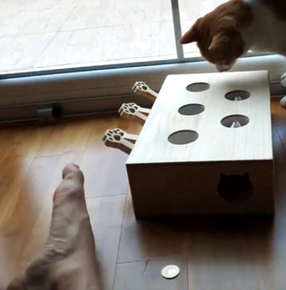 Yoo 'Jinnytty' Yoonjin feet photo thumbnail