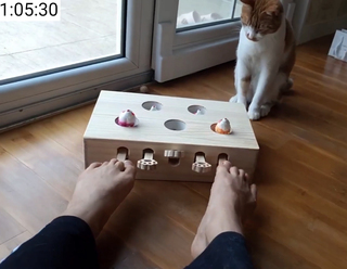 Yoo 'Jinnytty' Yoonjin feet photo thumbnail