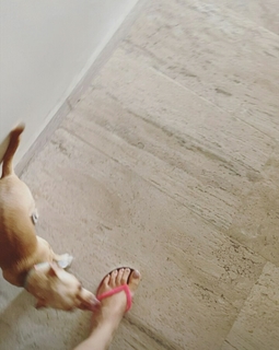 Yoseline Hoffman feet photo thumbnail