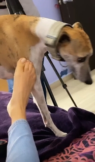 Yoseline Hoffman feet photo thumbnail