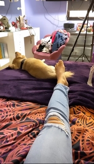 Yoseline Hoffman feet photo thumbnail
