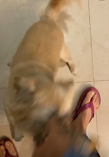 Yoseline Hoffman feet photo thumbnail