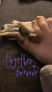 Yoseline Hoffman feet photo thumbnail