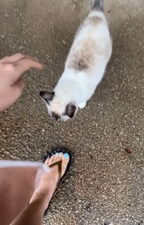 Yoseline Hoffman feet photo 2