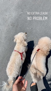 Yovanna Ventura feet photo thumbnail