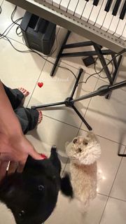 Yovanna Ventura feet photo 2