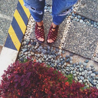 Yssa Pressman feet photo 4