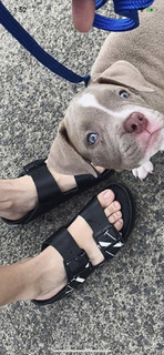 Yssa Pressman feet photo 12
