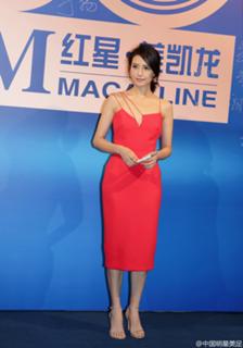 Yuanyuan Gao feet photo 15