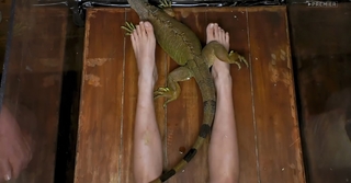 Yuliya Gavrilina feet photo thumbnail