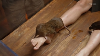 Yuliya Gavrilina feet photo thumbnail