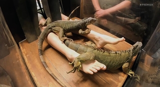 Yuliya Gavrilina feet photo thumbnail