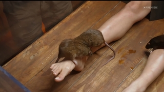 Yuliya Gavrilina feet photo thumbnail