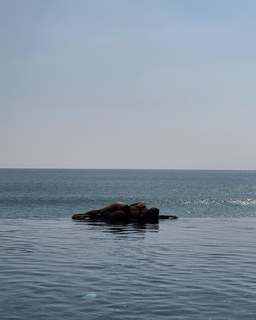 Yuliya Gavrilina feet photo thumbnail