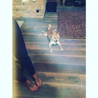 Yuliya Parshuta feet photo thumbnail